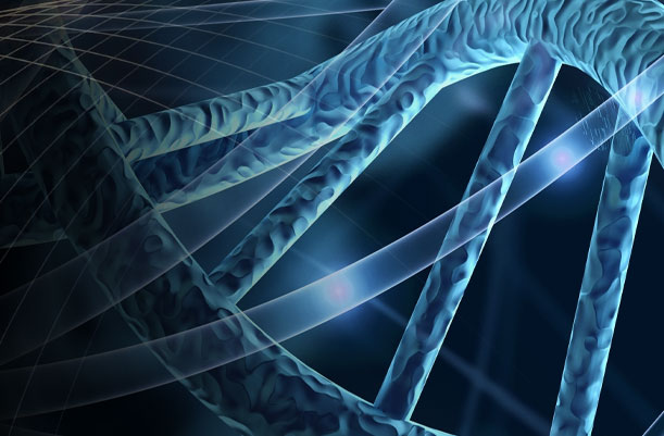 Behind the Science: How High-Sensitivity Assays Are Developed